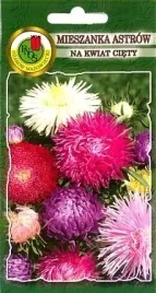 pnos-aster-wysoki-mieszanka-08g
