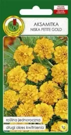 pnos-aksamitka-pelna-niska-petite-gold-zlocisto-zolta-1g