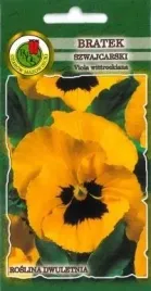 pnos-bratek-szwajcarski-firnengold-zolty-z-plama-08g