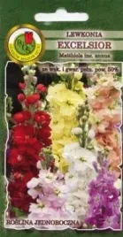 pnos-lewkonia-excelsior-antar-lilarozowa-1g
