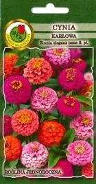 pnos-cynia-karlowa-cupido-mieszanka-1g