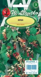 legutko-mina-czerwono-zolta-05g