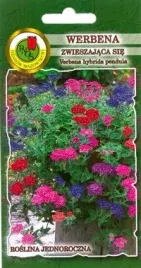 pnos-werbena-zwieszajaca-sie-mieszanka-02g