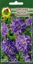 pnos-dzwonek-skupiony-fioletowoniebieski-01g