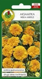 pnos-aksamitka-pelna-niska-mikrus-pomaranczowa-1g