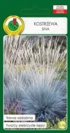 pnos-trawa-ozdobna-kostrzewa-sina-03-g