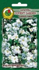 pnos-gipsowka-letnia-covent-garden-biala-2g