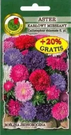 pnos-aster-chinski-karlowy-mieszanka-08g
