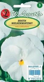 legutko-bratek-wielkokwiatowy-firnenschnee-bialokremowy-05g
