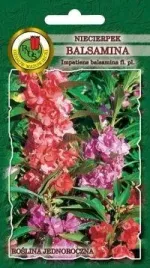 pnos-niecierpek-balsamina-mieszany-1g
