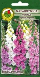 pnos-naparstnica-trwala-gloxiniaeflora-mieszanka-1g