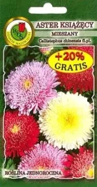 pnos-aster-chinski-ksiazecy-mieszanka-08g