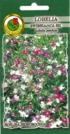 pnos-lobelia-zwieszajaca-sie-mieszanka-01g