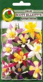 pnos-orlik-scott-elliot-s-mieszany-15g