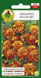 pnos-aksamitka-pelna-niska-bolero-miodowo-mahoniowa-1g