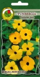 pnos-tunbergia-mieszana-03g