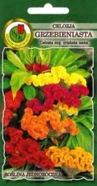 pnos-celozja-grzebieniasta-niska-mieszanka-03g