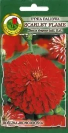pnos-cynia-daliowa-scarlet-flame-czerwona-1g