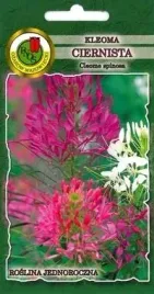 pnos-kleoma-mieszanka-05g