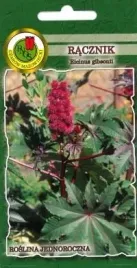 pnos-racznik-czerwonolistny-3g