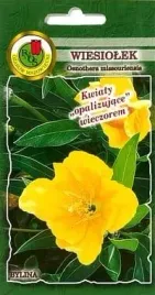 pnos-wiesiolek-zolty-03g