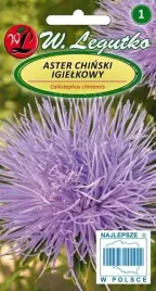 legutko-aster-chinski-igielkowy-niebieski-1g