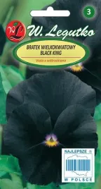 legutko-bratek-wielkokwiatowy-black-king-czarny-04g
