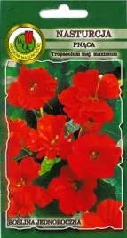 pnos-nasturcja-pnaca-scharlachglanz-czerwona-2g