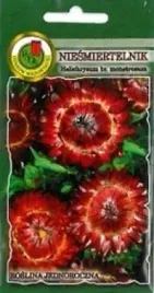 pnos-niesmiertelnik-szkarlatny-15g