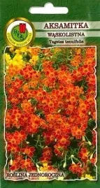 pnos-aksamitka-waskolistna-starfire-mieszanka-05g
