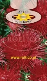 roltico-aster-chinski-igielkowy-czerwony-1g