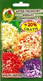pnos-aster-chinski-peoniowy-mieszanka-08g