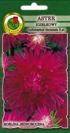 pnos-aster-chinski-igielkowy-wisniowowrzosowy-08g