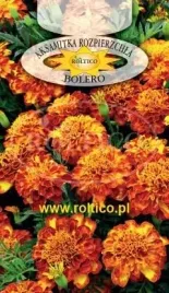 roltico-aksamitka-rozpierzchla-bolero-1-g