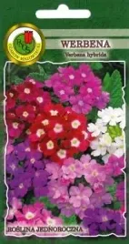 pnos-werbena-niska-mieszanka-05g