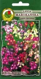 pnos-lnica-marokanska-mieszana-05g