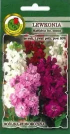 pnos-lewkonia-wielopedowa-05g