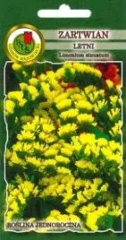 pnos-zatrwian-letni-gold-coast-zolty-02g