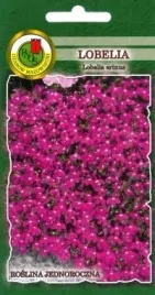 pnos-lobelia-rosamunda-rozowa-02g