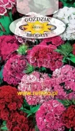 roltico-gozdzik-brodaty-pelny-mieszanka-05g
