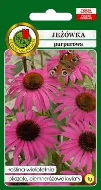 pnos-jezowka-purpurowa-1g