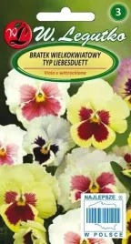 legutko-bratek-wielkokwiatowy-liebesduett-mieszanka-04g