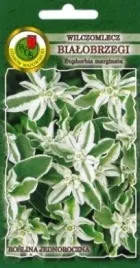 pnos-wilczomlecz-bialobrzegi-03g