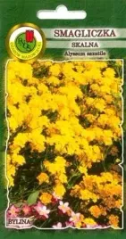 pnos-smagliczka-skalna-03g