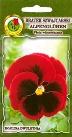 pnos-bratek-szwajcarski-alpenguhen-czerwony-z-plama-08g