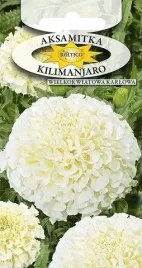 roltico-aksamitka-wzniesiona-karlowa-kilimanjaro-03g