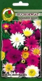 pnos-suchokwiat-mieszany-05g