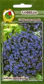pnos-lobelia-niebieska-02g