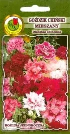 pnos-gozdzik-chinski-mieszanka-1g