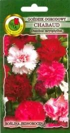 pnos-gozdzik-ogrodowy-chabaud-mieszanka-03g